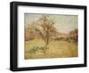 Landscape, 1890-Jean Baptiste Armand Guillaumin-Framed Giclee Print