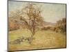 Landscape, 1890-Jean Baptiste Armand Guillaumin-Mounted Giclee Print