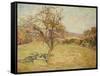 Landscape, 1890-Jean Baptiste Armand Guillaumin-Framed Stretched Canvas