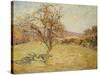 Landscape, 1890-Jean Baptiste Armand Guillaumin-Stretched Canvas