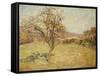 Landscape, 1890-Jean Baptiste Armand Guillaumin-Framed Stretched Canvas