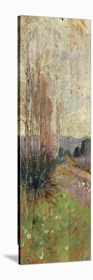 Landscape, 1900-Guglielmo Micheli-Stretched Canvas