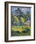 Landscape, 1901-Paul Gauguin-Framed Premium Giclee Print