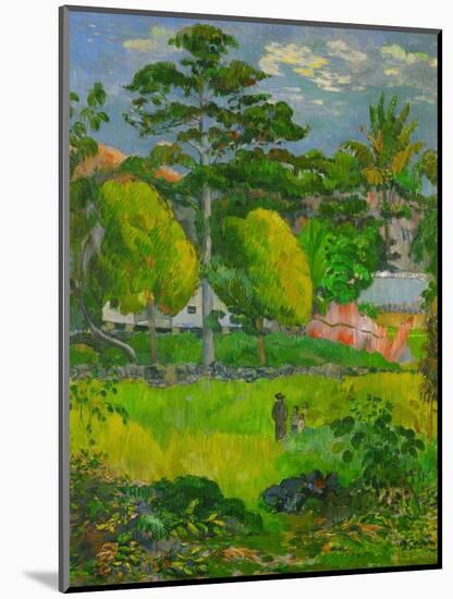 Landscape, 1901-Paul Gauguin-Mounted Giclee Print