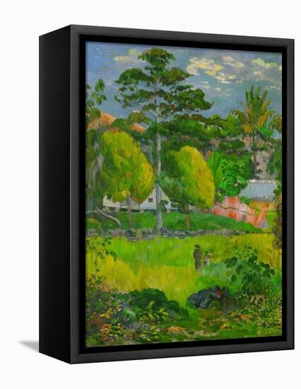 Landscape, 1901-Paul Gauguin-Framed Stretched Canvas