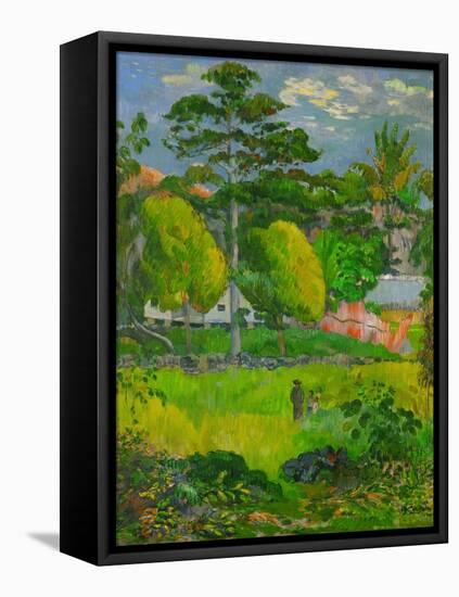 Landscape, 1901-Paul Gauguin-Framed Stretched Canvas