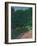 Landscape, 1910-Heinrich Wilhelm Truebner-Framed Giclee Print