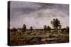 Landscape, 19th Century-Narcisse Virgile Diaz de la Pena-Stretched Canvas