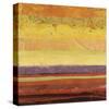 Landscape 5-Jeannie Sellmer-Stretched Canvas