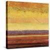 Landscape 5-Jeannie Sellmer-Stretched Canvas