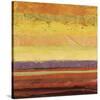 Landscape 5-Jeannie Sellmer-Stretched Canvas