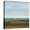 Landscape 8-Jeannie Sellmer-Stretched Canvas