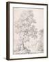 Landscape, a Shepherd and His Goats Walking by a Tree-I. Inghivami-Framed Giclee Print