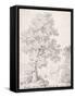 Landscape, a Shepherd and His Goats Walking by a Tree-I. Inghivami-Framed Stretched Canvas