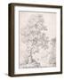 Landscape, a Shepherd and His Goats Walking by a Tree-I. Inghivami-Framed Giclee Print