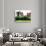 Landscape, a Summer in Central Park, Lifestyle, Manhattan, New York City, Trendy Colors-Philippe Hugonnard-Photographic Print displayed on a wall