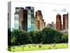 Landscape, a Summer in Central Park, Lifestyle, Manhattan, New York City, Trendy Colors-Philippe Hugonnard-Stretched Canvas