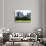 Landscape, a Summer in Central Park, Lifestyle, Manhattan, New York City-Philippe Hugonnard-Photographic Print displayed on a wall