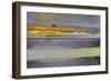 Landscape Abstract-5fishcreative-Framed Giclee Print