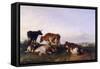 Landscape and Cattle, 1868-Thomas Sidney Cooper-Framed Stretched Canvas