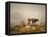 Landscape and Cattle, C1823-1902-Thomas Sidney Cooper-Framed Stretched Canvas