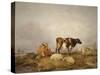 Landscape and Cattle, C1823-1902-Thomas Sidney Cooper-Stretched Canvas