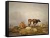 Landscape and Cattle, C1823-1902-Thomas Sidney Cooper-Framed Stretched Canvas