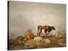 Landscape and Cattle, C1823-1902-Thomas Sidney Cooper-Stretched Canvas