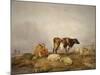 Landscape and Cattle, C1823-1902-Thomas Sidney Cooper-Mounted Giclee Print