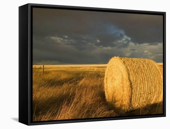 Landscape and Hay Roll in Alberta, Canada-Walter Bibikow-Framed Stretched Canvas