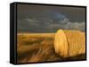 Landscape and Hay Roll in Alberta, Canada-Walter Bibikow-Framed Stretched Canvas