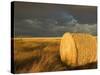 Landscape and Hay Roll in Alberta, Canada-Walter Bibikow-Stretched Canvas