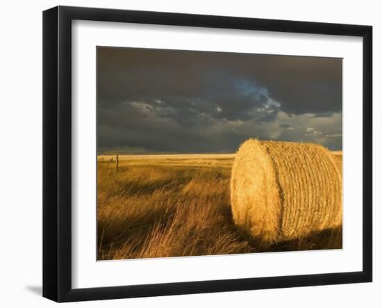 Landscape and Hay Roll in Alberta, Canada-Walter Bibikow-Framed Premium Photographic Print