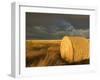 Landscape and Hay Roll in Alberta, Canada-Walter Bibikow-Framed Premium Photographic Print