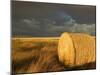 Landscape and Hay Roll in Alberta, Canada-Walter Bibikow-Mounted Premium Photographic Print