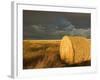 Landscape and Hay Roll in Alberta, Canada-Walter Bibikow-Framed Photographic Print