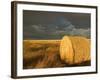 Landscape and Hay Roll in Alberta, Canada-Walter Bibikow-Framed Photographic Print