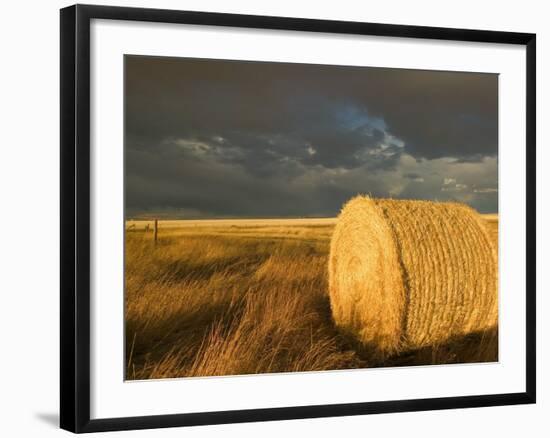 Landscape and Hay Roll in Alberta, Canada-Walter Bibikow-Framed Photographic Print