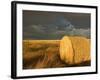 Landscape and Hay Roll in Alberta, Canada-Walter Bibikow-Framed Photographic Print