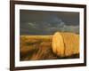 Landscape and Hay Roll in Alberta, Canada-Walter Bibikow-Framed Photographic Print