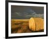 Landscape and Hay Roll in Alberta, Canada-Walter Bibikow-Framed Photographic Print