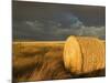 Landscape and Hay Roll in Alberta, Canada-Walter Bibikow-Mounted Photographic Print