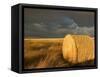 Landscape and Hay Roll in Alberta, Canada-Walter Bibikow-Framed Stretched Canvas