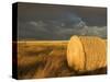 Landscape and Hay Roll in Alberta, Canada-Walter Bibikow-Stretched Canvas