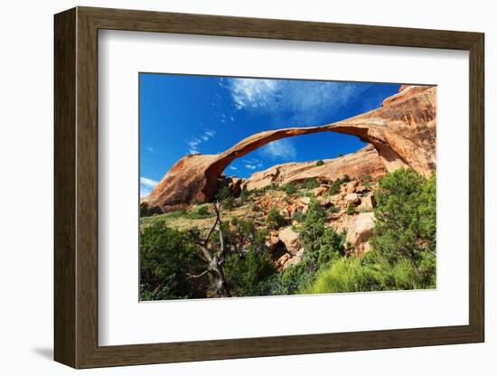 Landscape Arch, Arches National Park, Utah-Geraint Tellem-Framed Photographic Print