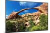 Landscape Arch, Arches National Park, Utah-Geraint Tellem-Mounted Photographic Print