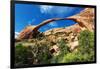 Landscape Arch, Arches National Park, Utah-Geraint Tellem-Framed Photographic Print