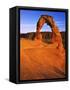 Landscape Arches, Delicate Arch, Arches National Park, Utah, USA-Charles Gurche-Framed Stretched Canvas