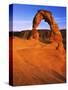 Landscape Arches, Delicate Arch, Arches National Park, Utah, USA-Charles Gurche-Stretched Canvas