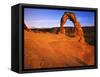 Landscape Arches, Delicate Arch, Arches National Park, Utah, USA-Charles Gurche-Framed Stretched Canvas